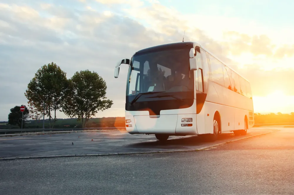 bus