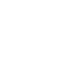 icon voiture